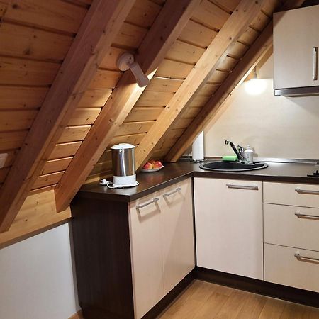 Apartamentai Hunter House Ντρουσκινινκάι Δωμάτιο φωτογραφία