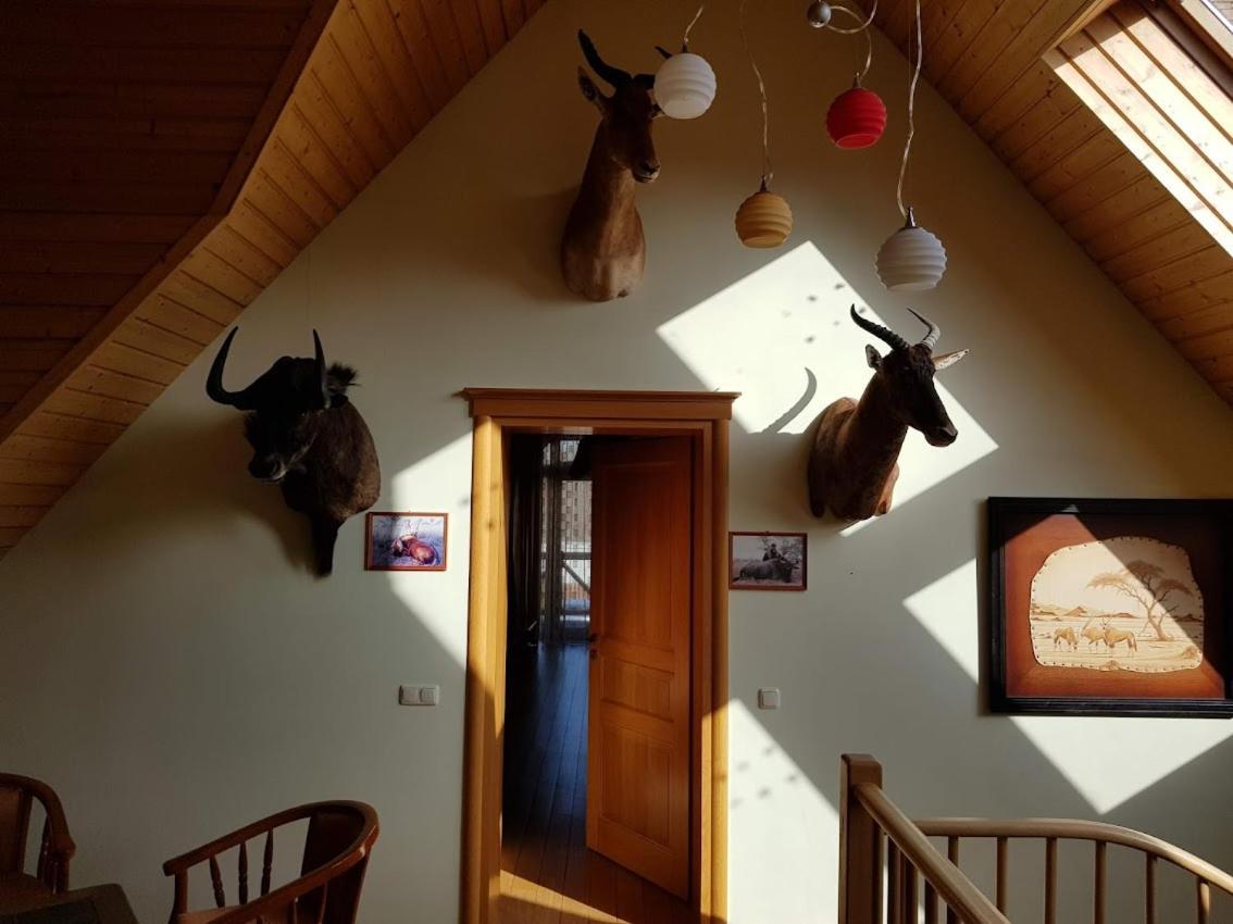 Apartamentai Hunter House Ντρουσκινινκάι Εξωτερικό φωτογραφία