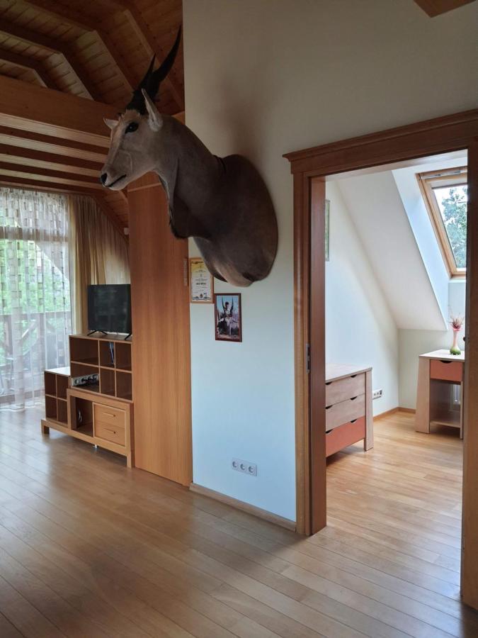 Apartamentai Hunter House Ντρουσκινινκάι Εξωτερικό φωτογραφία