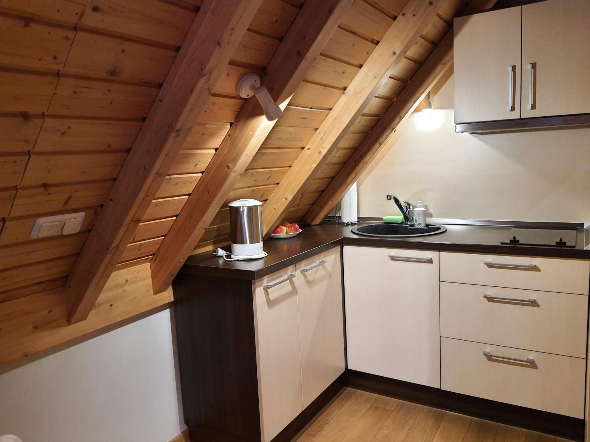 Apartamentai Hunter House Ντρουσκινινκάι Δωμάτιο φωτογραφία